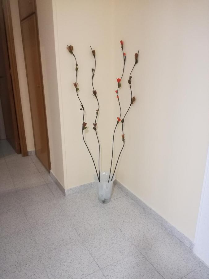 Giusy'S Place 1 Apartman Campofelice Di Roccella Kültér fotó